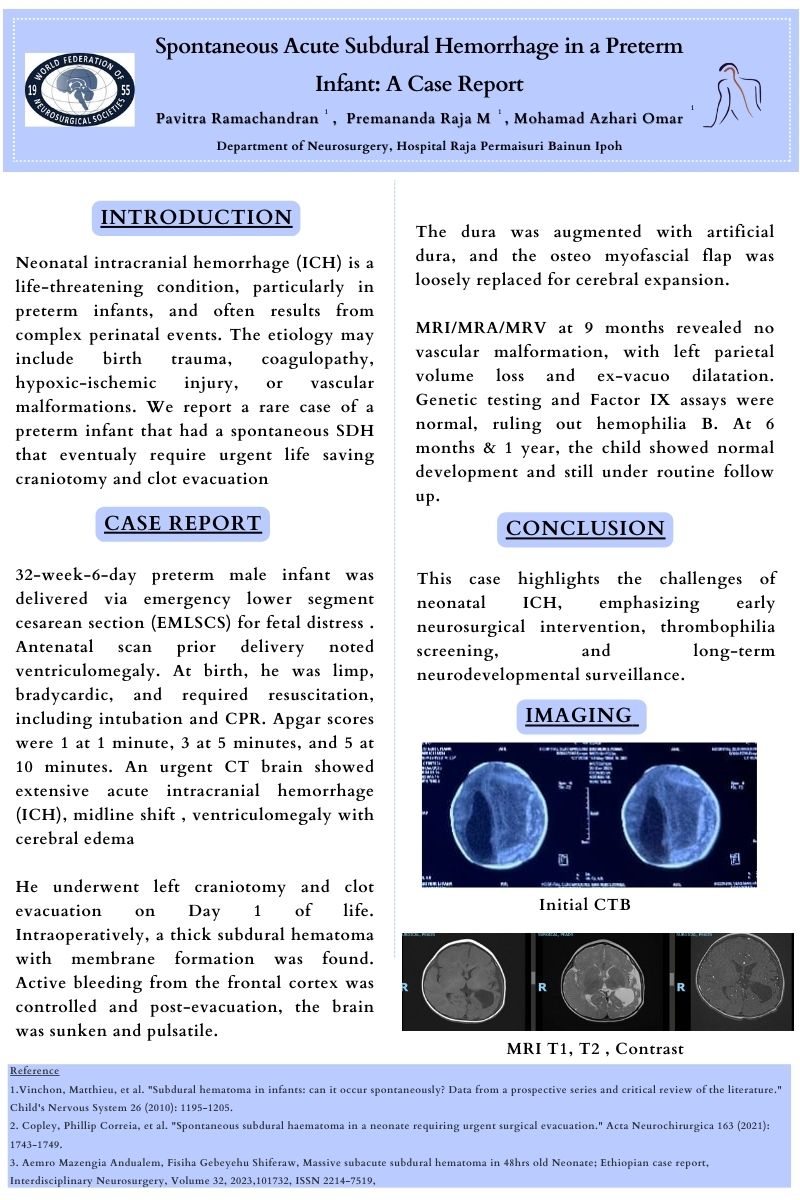 Poster 13